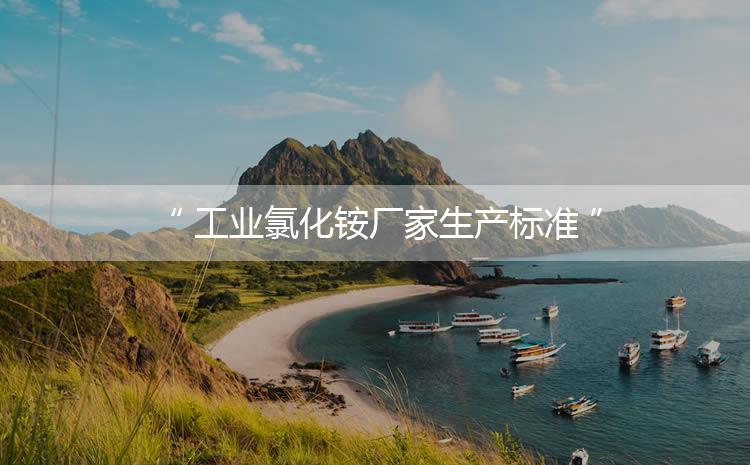 工業(yè)氯化銨廠家生產(chǎn)標(biāo)準(zhǔn)，生產(chǎn)過程進(jìn)行嚴(yán)密的監(jiān)控！