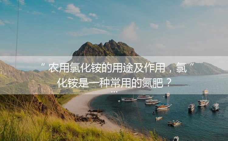 農(nóng)用氯化銨的用途及作用，氯化銨是一種常用的氮肥？